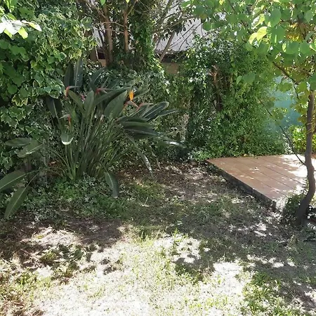 Fleurs Du Paradis Apartment